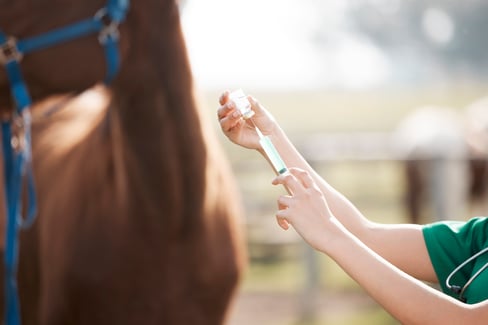 injectable glucosamine for horses