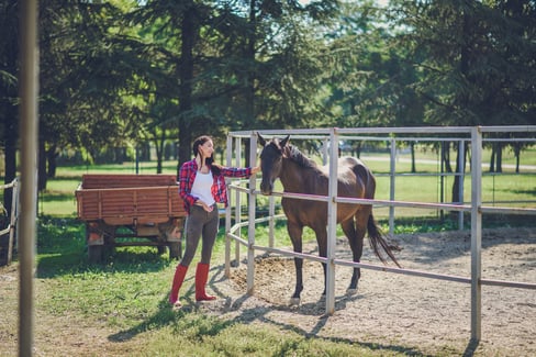 horse stable considerations