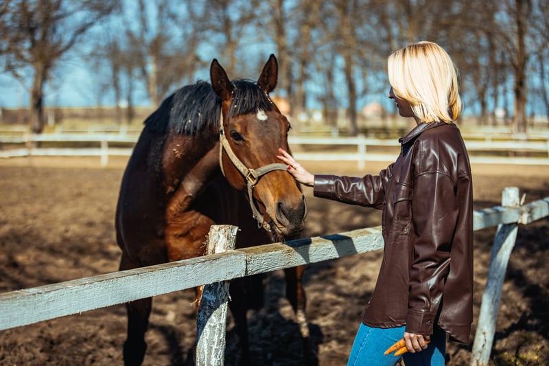 horse-treats-on-a-budget