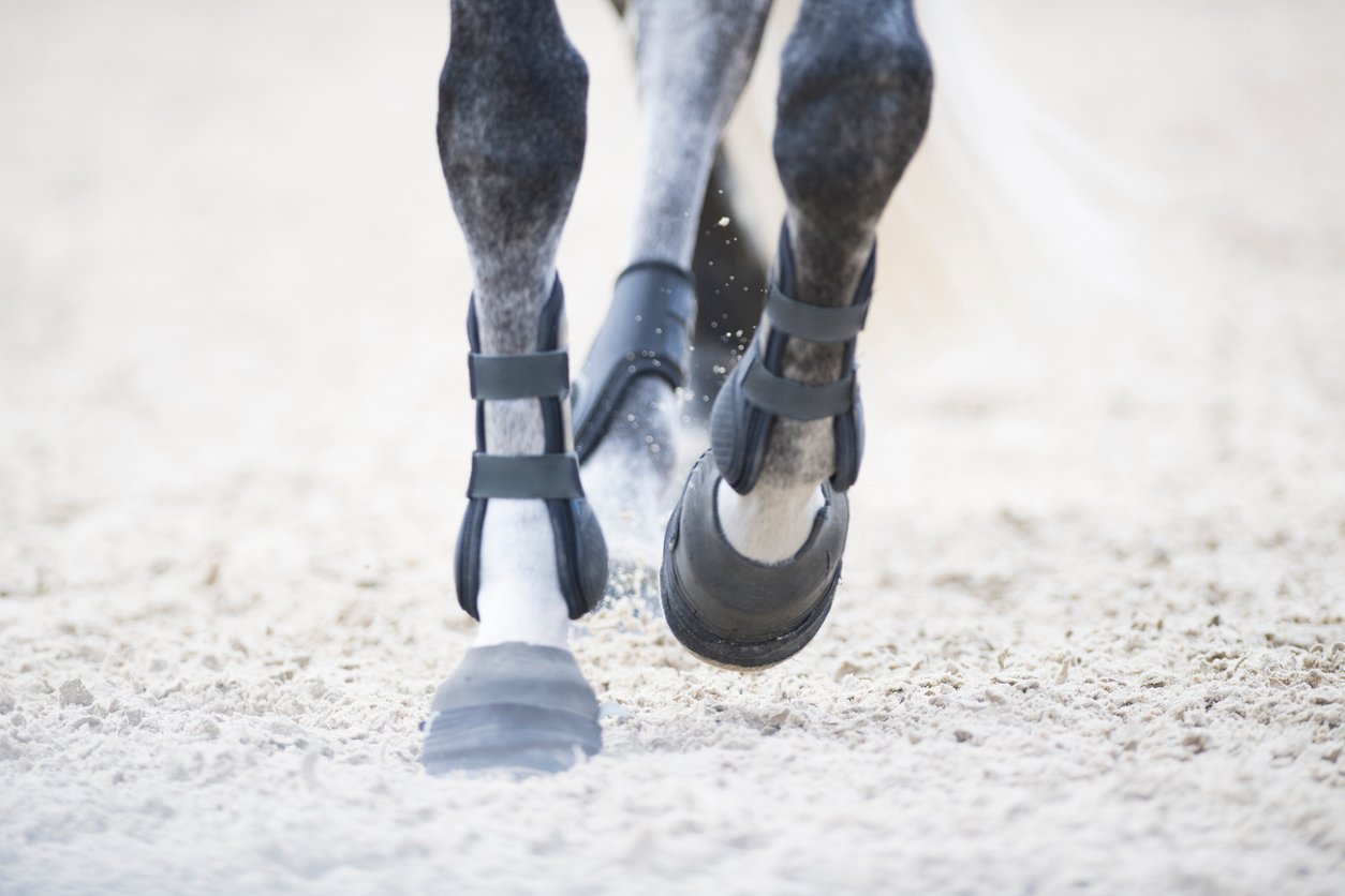 how to treat a horse with laminitis