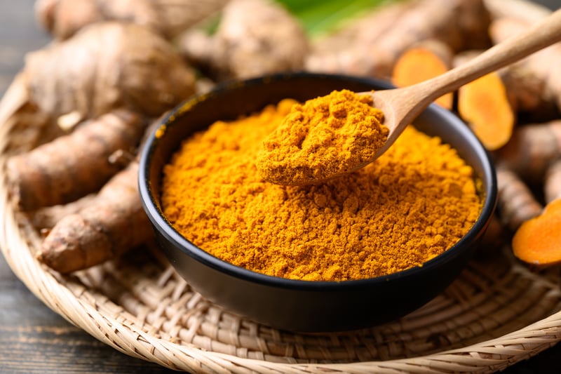 dog-tumeric-forms