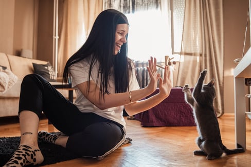 why not to declaw cats