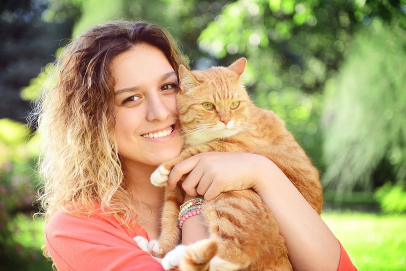 additional-ways-to-use-turmeric-for-cats