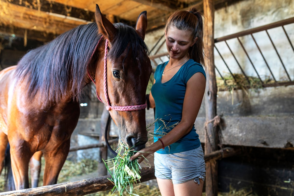 Recommended Equine Performance Nutrition