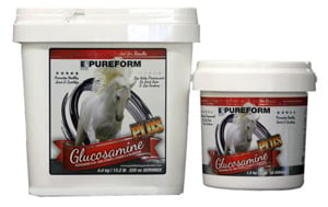 Glucosamine Plus