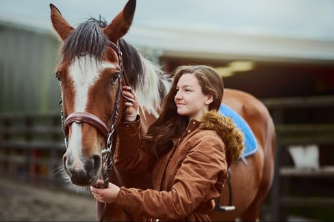 horse fetlock injury