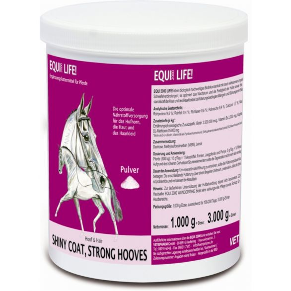 A Quick Guide on Horse Laminitis Supplements & How They Work