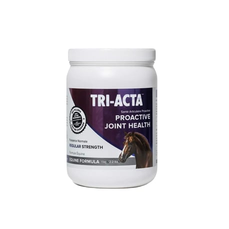 Reduce Inflammation & Protect Joint Health With TRI-ACTA for Equine