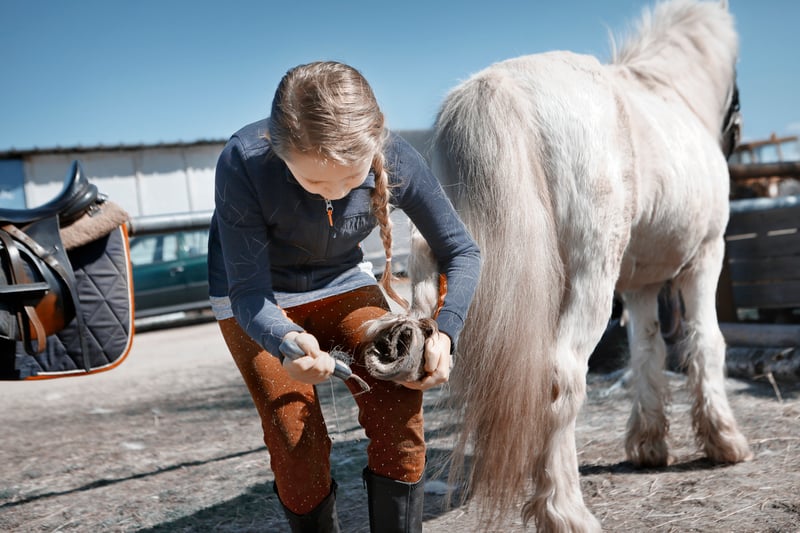 symptoms-of-horse-leg-splint