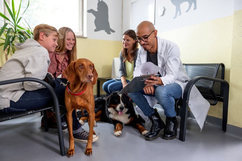 common-questions-regarding-dog-eye-infections