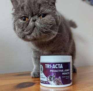 tri-acta-proactive-kitten-supplement