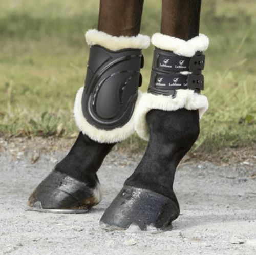 Horse Fetlock Joint Lameness: Causes, Prevention, and Treatment