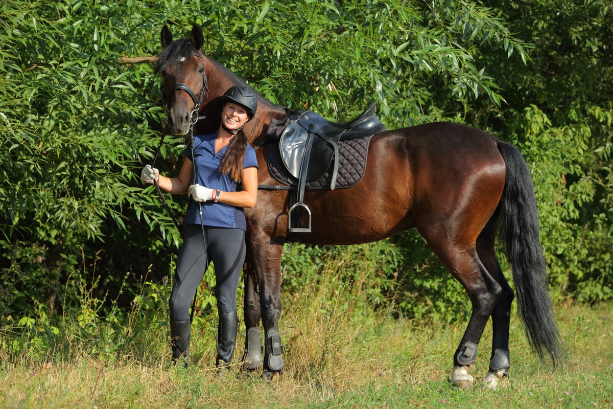 Benefits of an Equine Performance Supplement