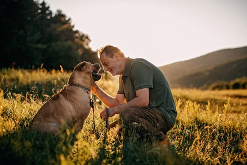 physical-and-mental-signs-of-aging-dog