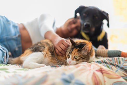 family pet health