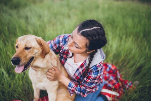 adequan-injections-for-dogs 