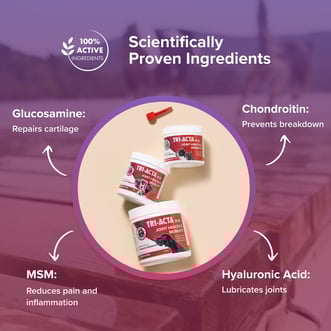  Comprehensive Joint Health Support