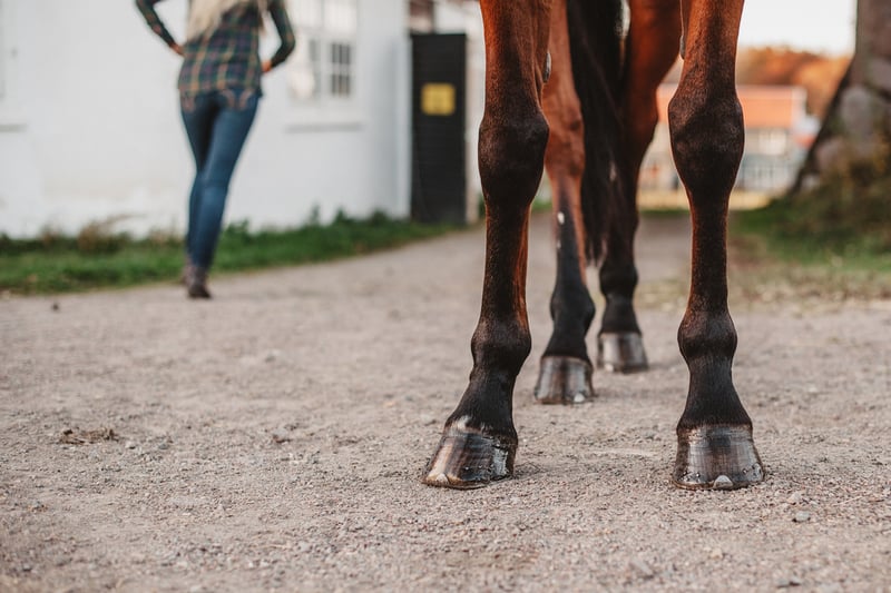 benefits-of-horse-laminitis-supplements