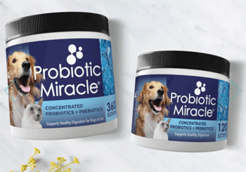 Probiotic Miracle Nusentia