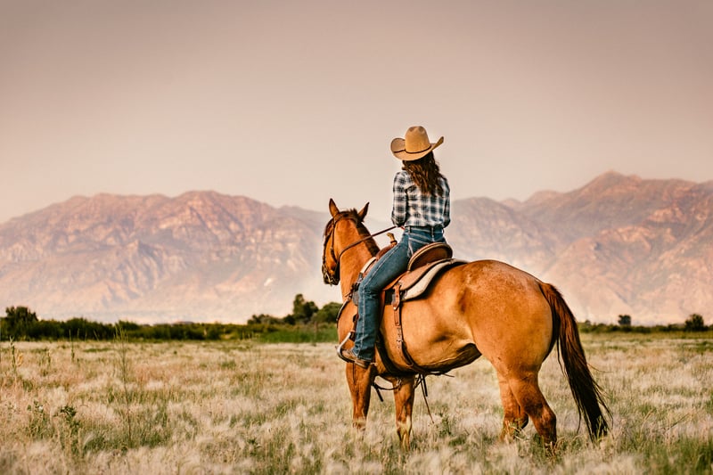 western-horse-riding-summary