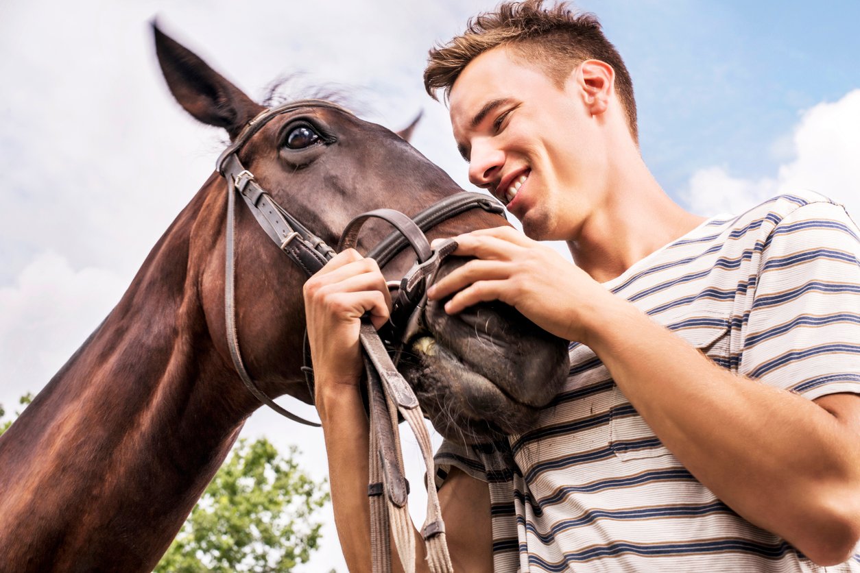 summary of suspensory horse injury