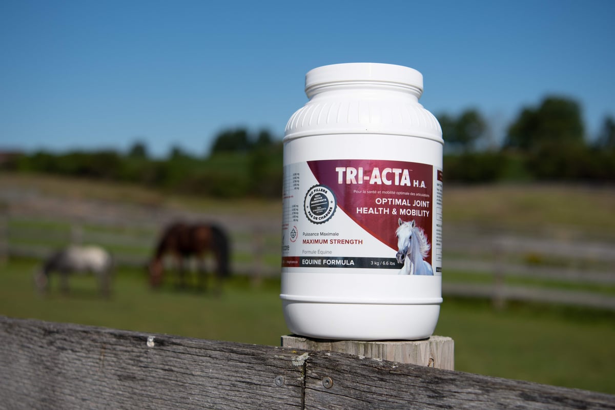 tri-acta h.a. equine joint supplements