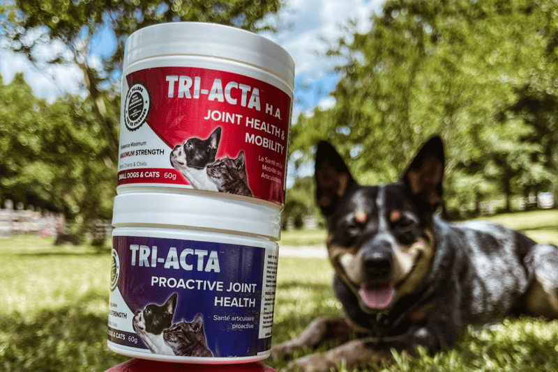 triacta dog joint supplement