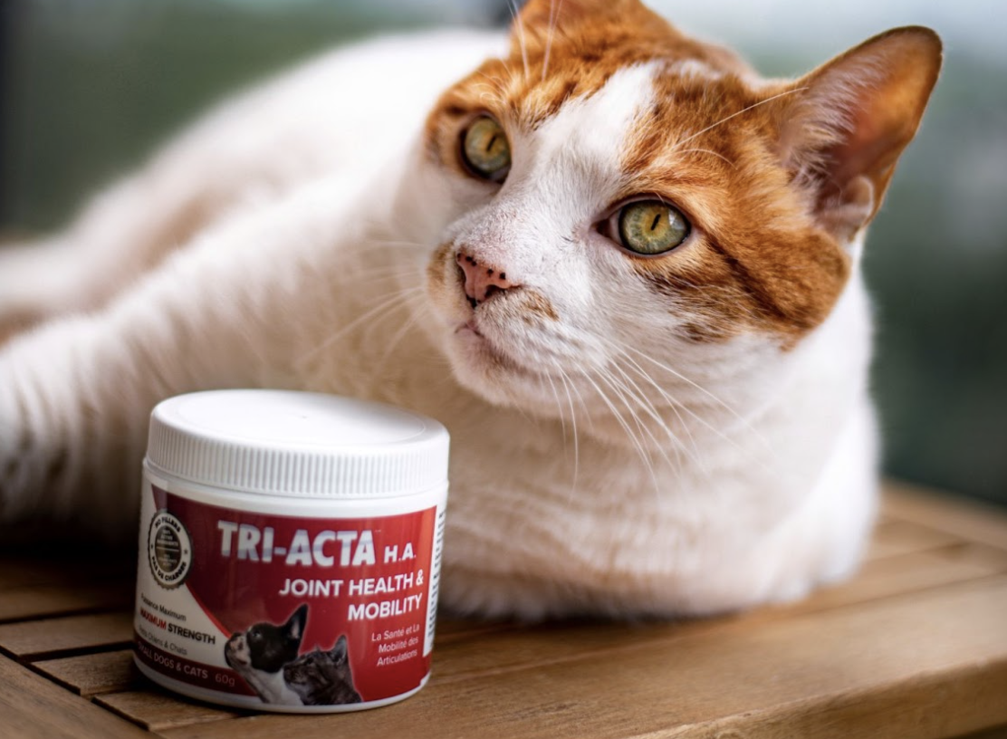 triacta joint supplement for cats
