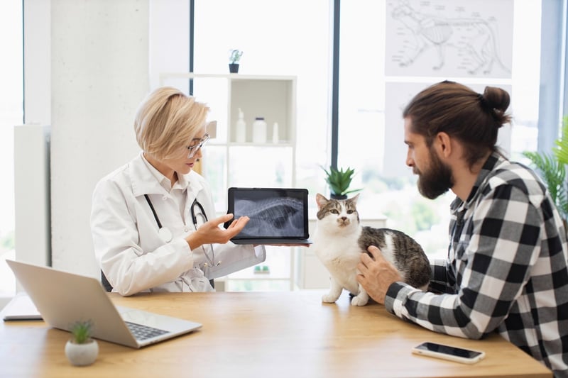 how-vets-diagnose-sneezing-causes