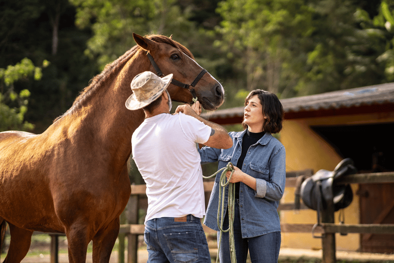 prevention-strategies-to-avoid-future-hoof-damage