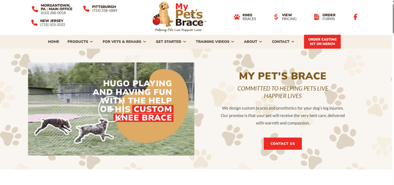 My Pet's Brace Custom Solutions