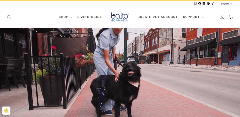 Balto Dog Hip Brace