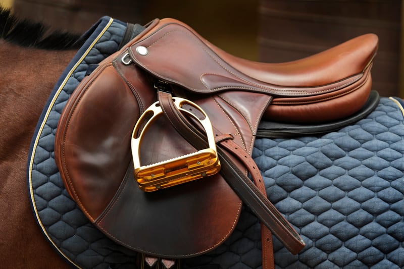 What Does a Saddle Fitter Do