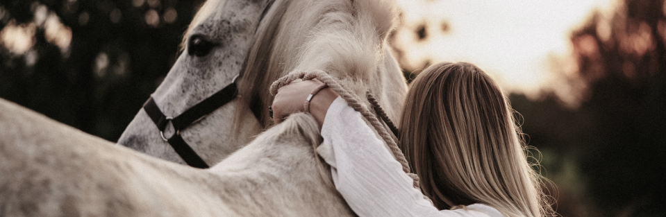 Navigating Horse Care_ Keeping You in The Saddle