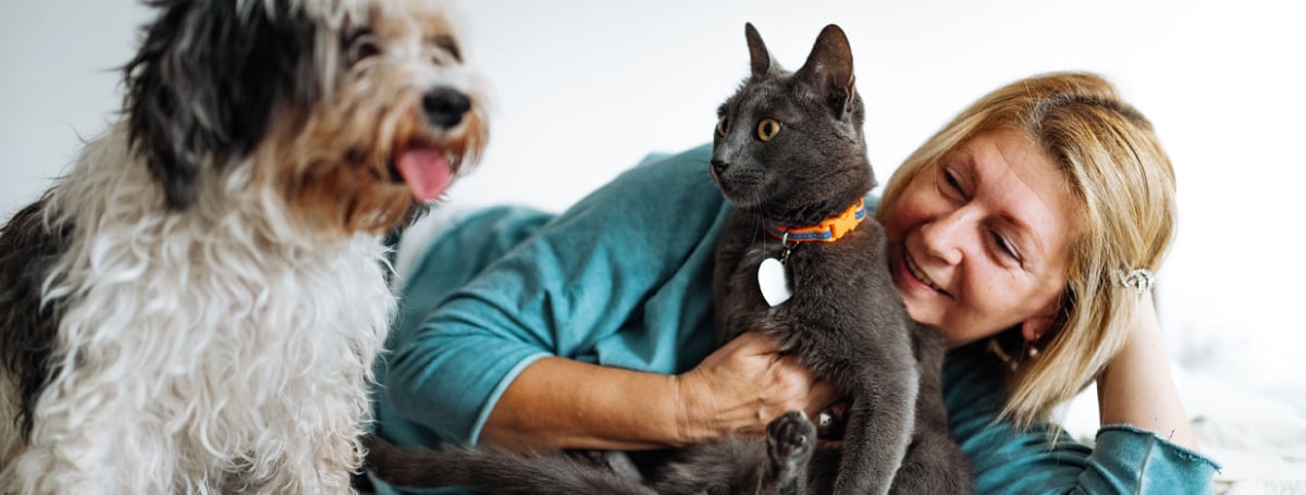 healthy-dog-and-cat-with-owner-