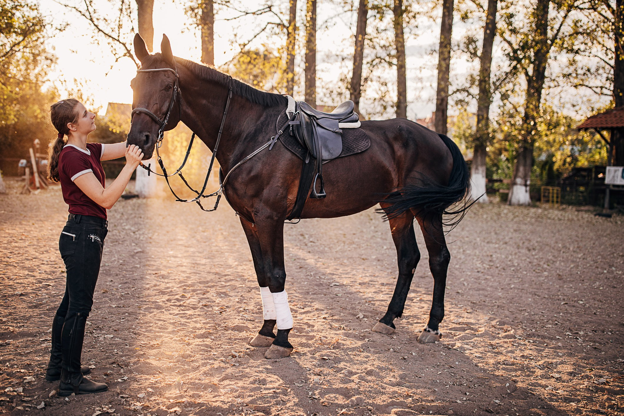 how to fit a saddle to a horse