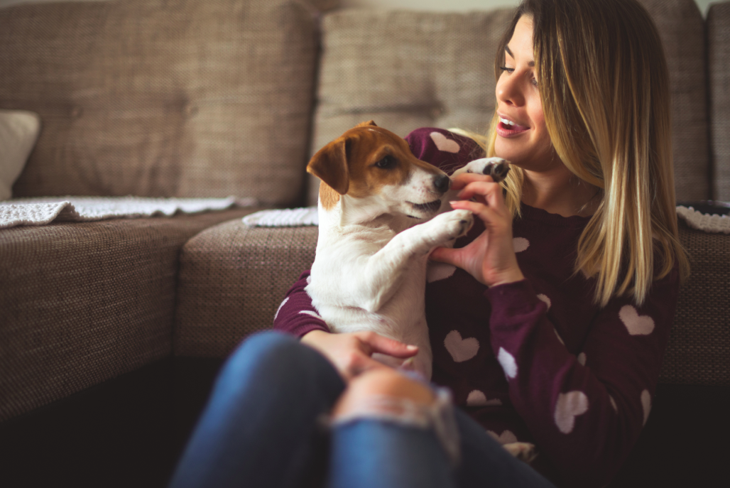 iStock-649423792 2