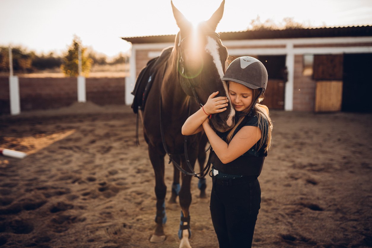 horse-surgery