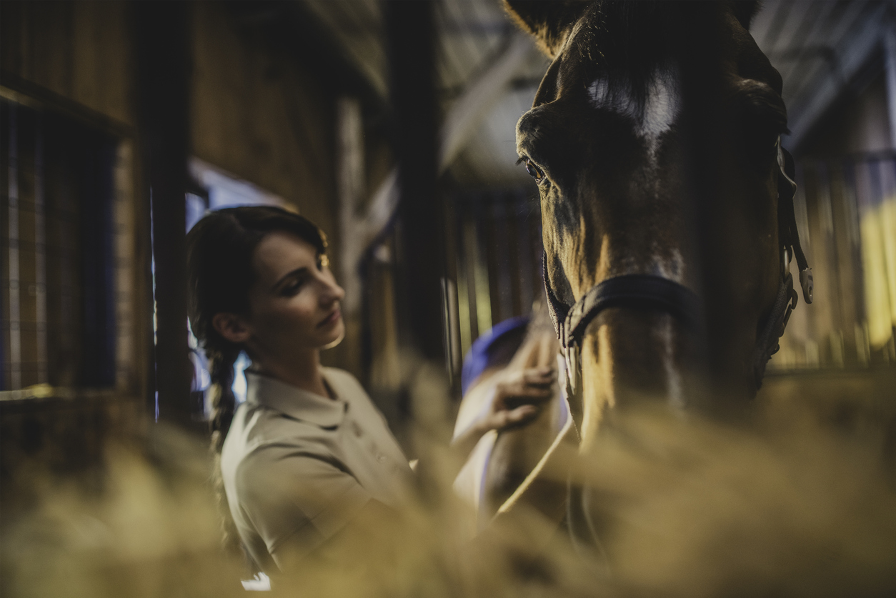 equine-massage-therapy